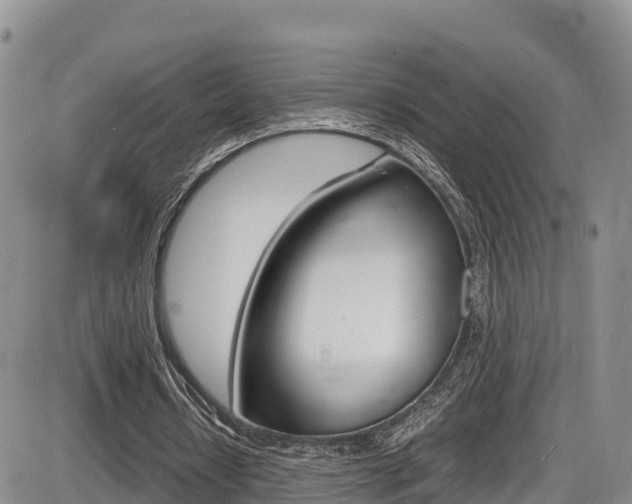 X0000086280434200703291107