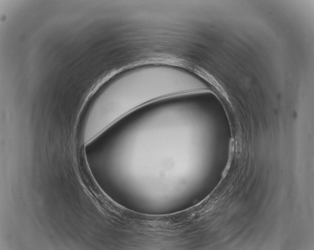 X0000086280436200703291107