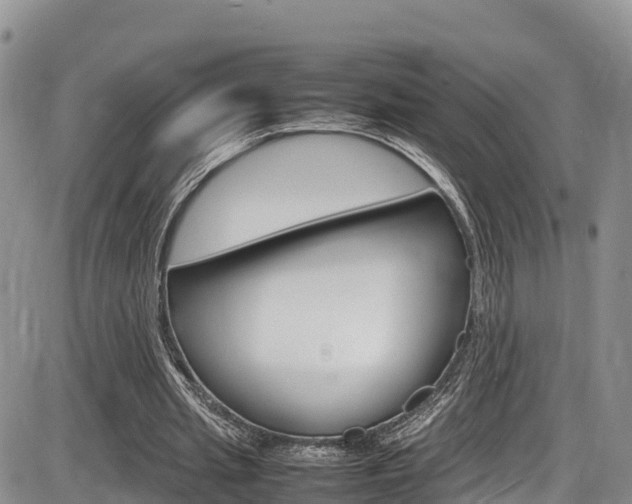 X0000086280437200703291107