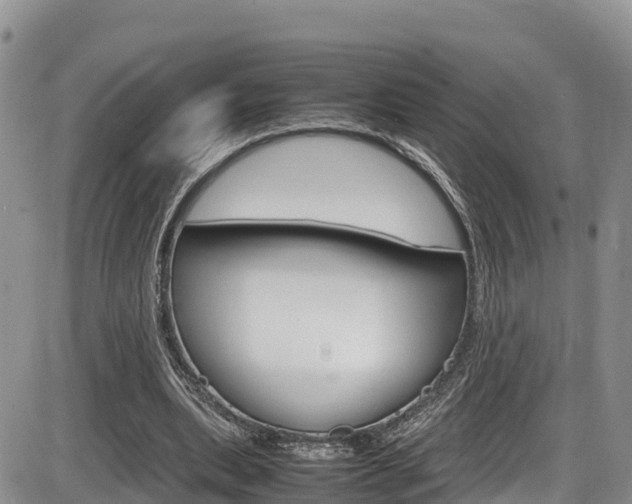 X0000086280439200703291107