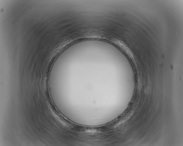 X0000086280441200703291107