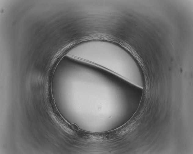 X0000086280442200703291107