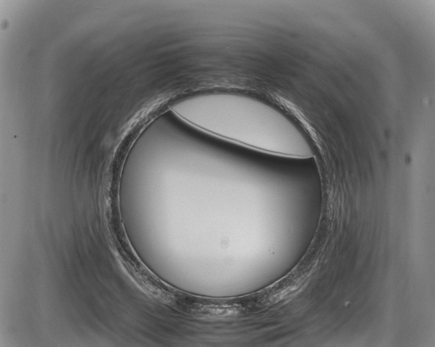 X0000086280443200703291107