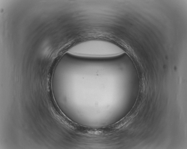 X0000086280450200703291107