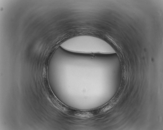 X0000086280459200703291107