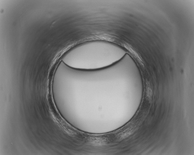 X0000086280486200703291107