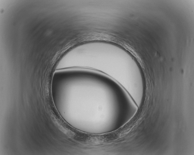 X0000086280489200703291107
