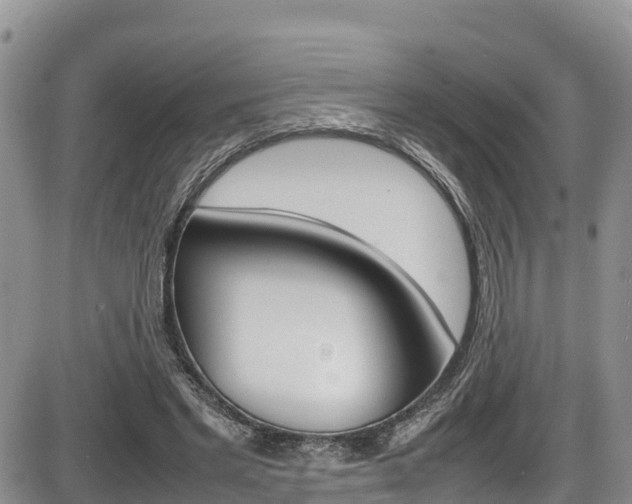 X0000086280493200703291107