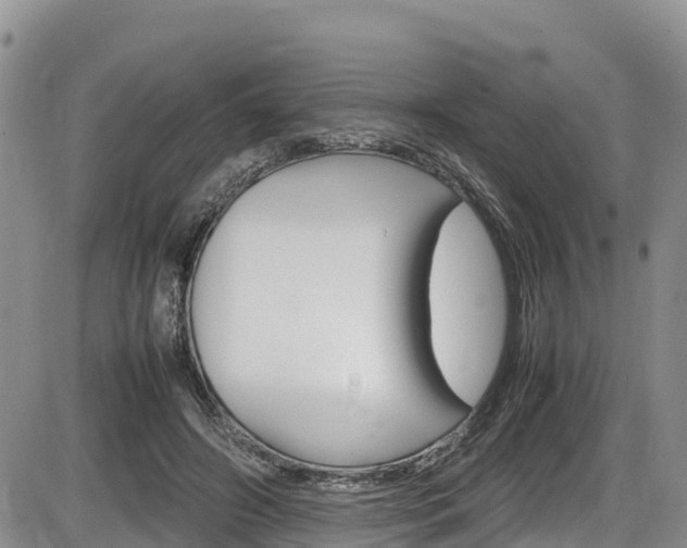 X0000086280498200703291106