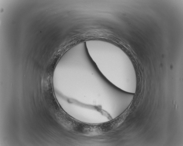 X0000086280503200703291106