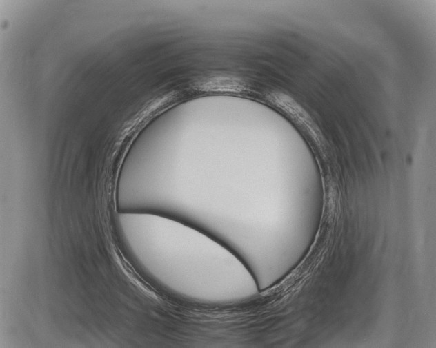X0000086280533200703291105