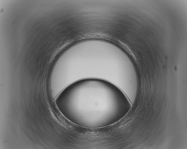 X0000086280538200703291105