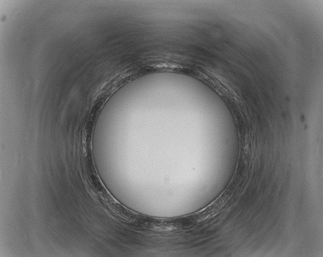X0000086280547200703291105