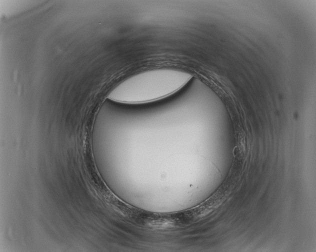 X0000086280551200703291106