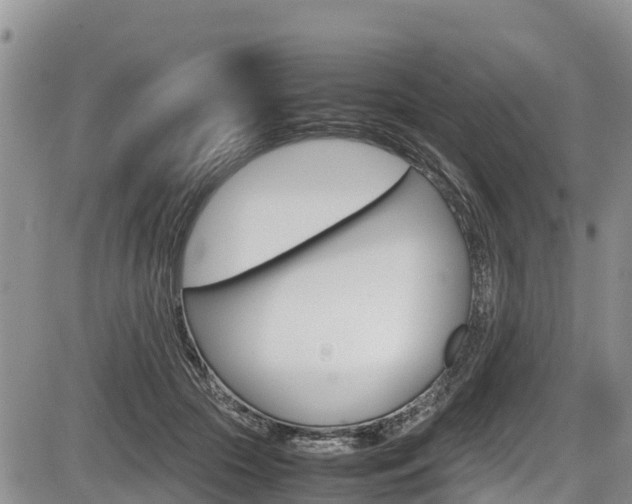 X0000086280553200703291106