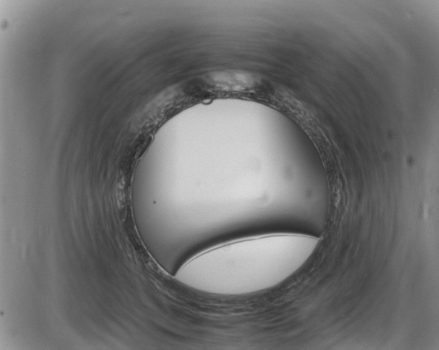 X0000086280559200703291106