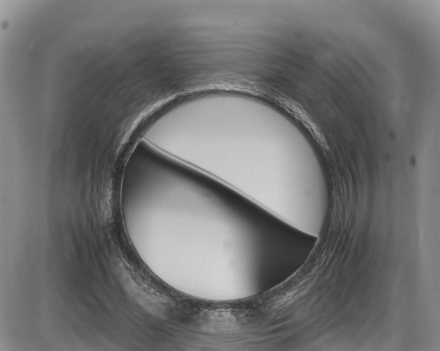 X0000086280588200703291105