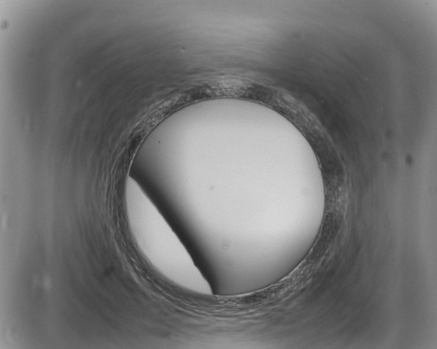 X0000086280599200703291105
