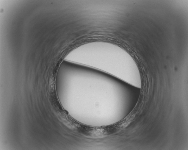X0000086280609200703291105