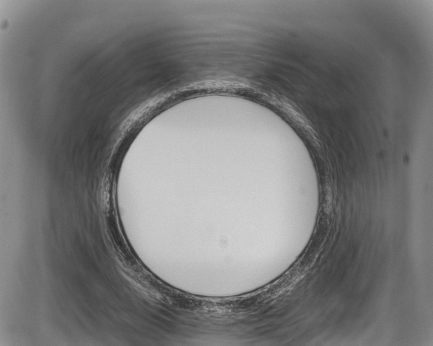 X0000086280632200703291104