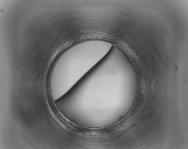 X0000086280634200703291104