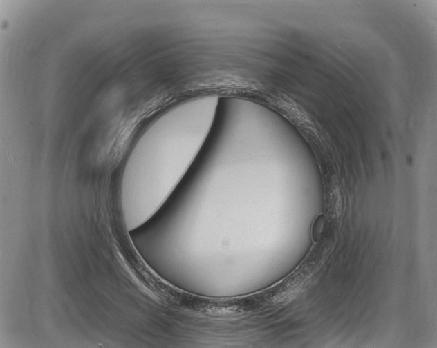 X0000086280638200703291104