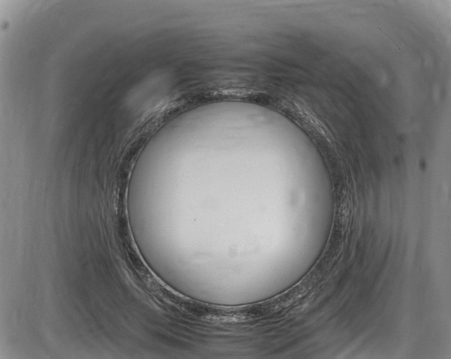 X0000086280639200703291104