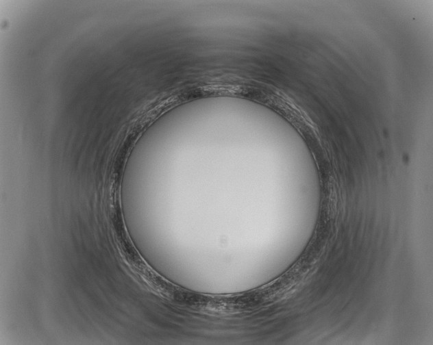X0000086280641200703291104