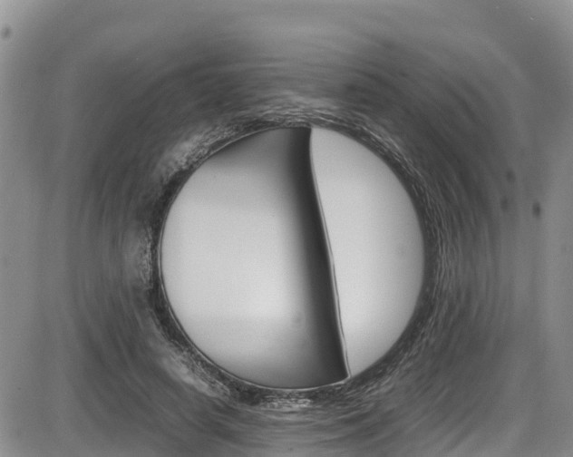 X0000086280642200703291104