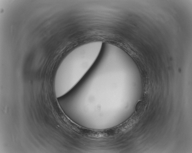 X0000086280646200703291104