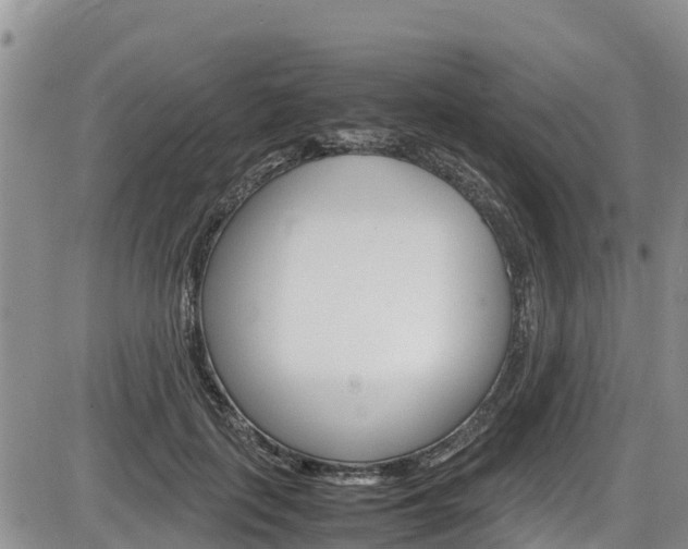 X0000086280651200703291104