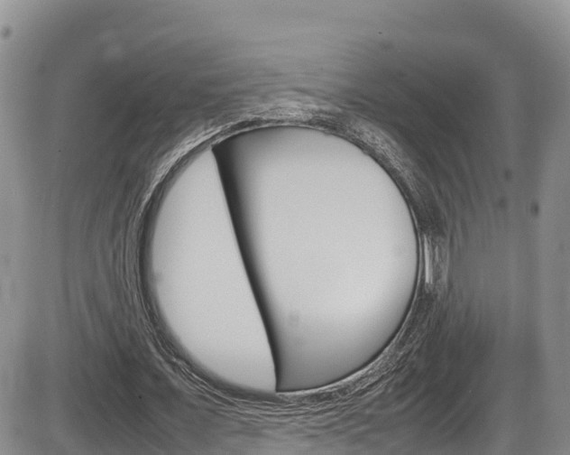 X0000086280675200703291104