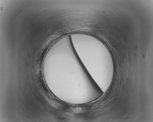 X0000086280687200703291103