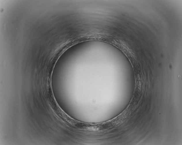 X0000086280692200703291103