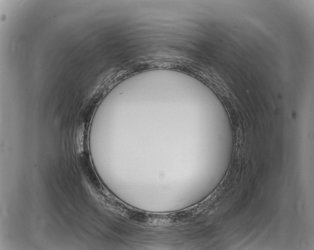X0000086280694200703291103