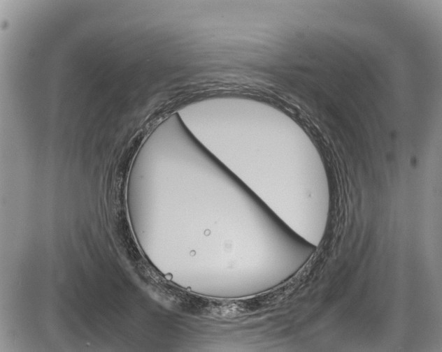 X0000086280695200703291103