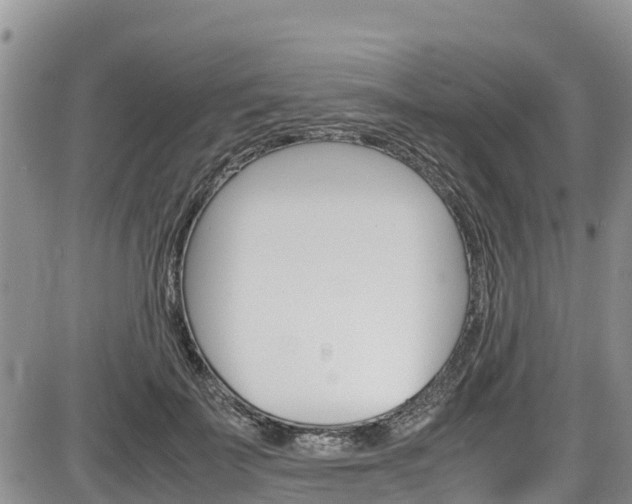 X0000086280699200703291103