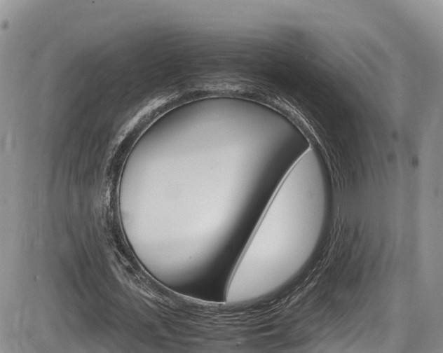 X0000086280723200703291102