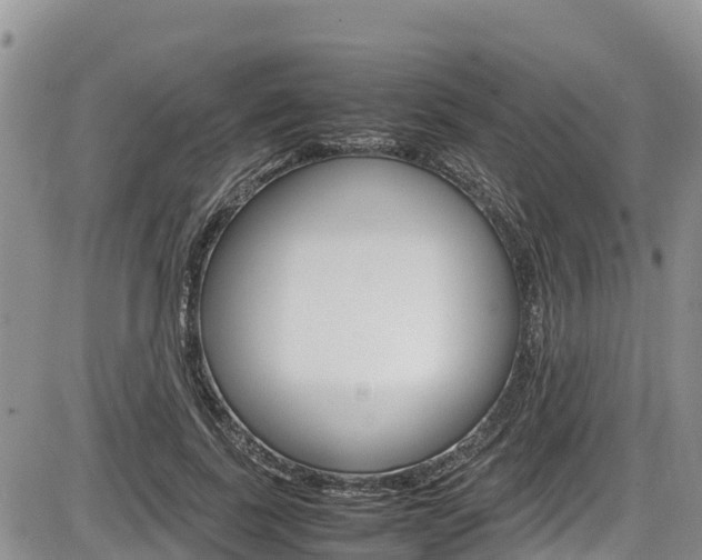 X0000086280739200703291102