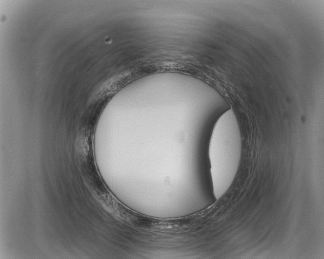 X0000086280746200703291102