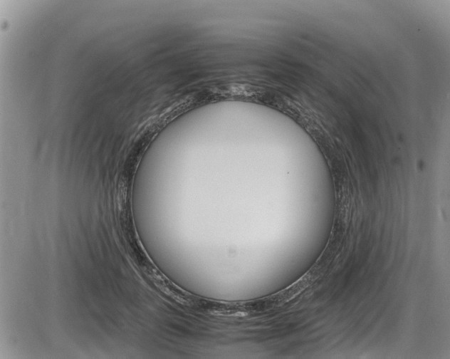 X0000086280747200703291102