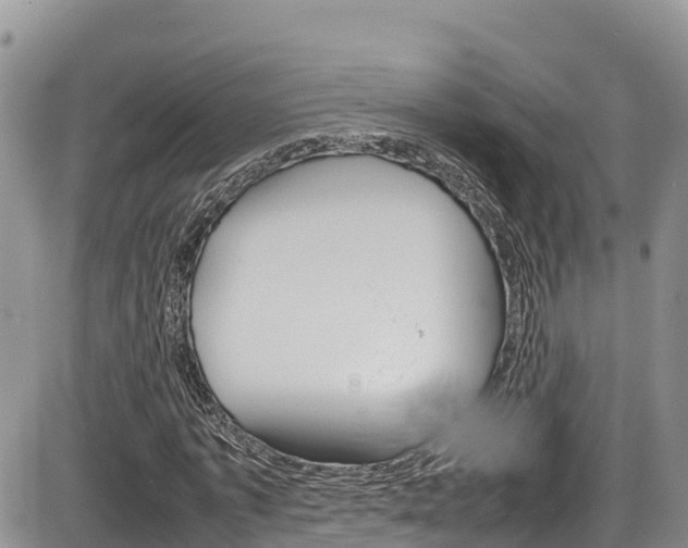 X0000086280773200703291102