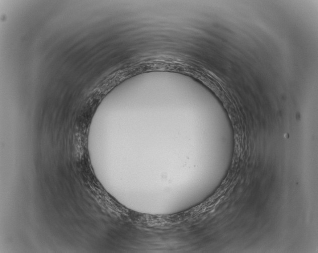 X0000086280774200703291102