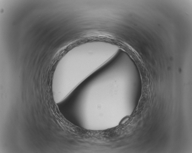 X0000086280775200703291102