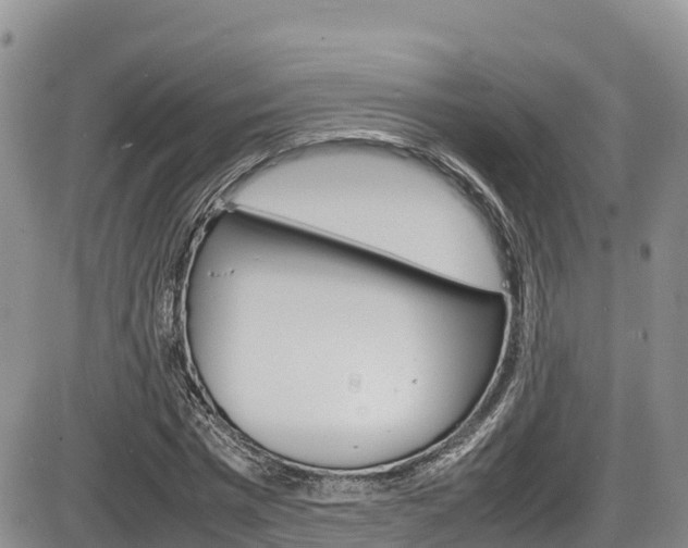 X0000086280777200703291102