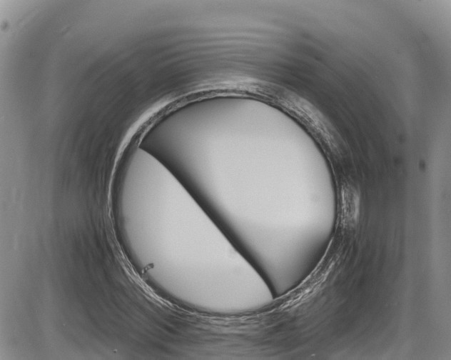 X0000086280780200703291102