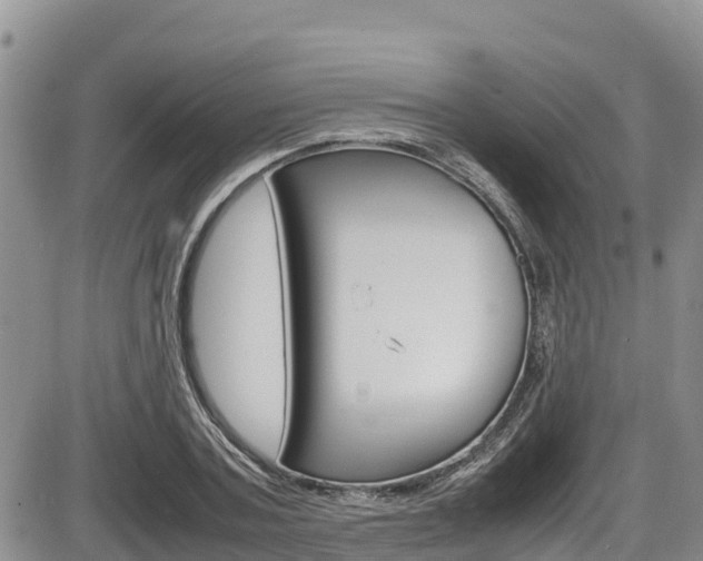 X0000086280787200703291102