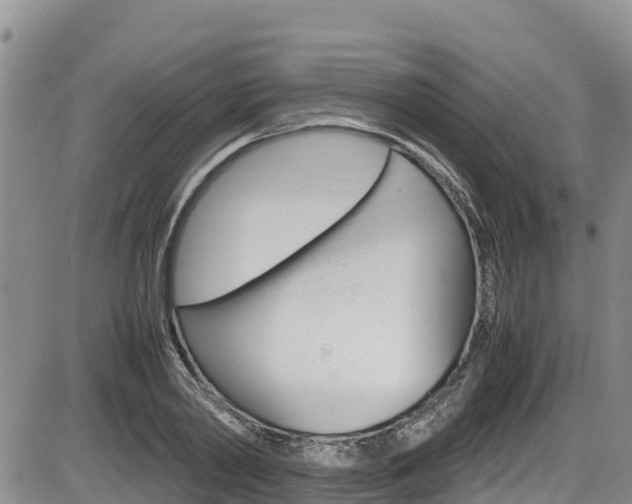 X0000086280790200703291102