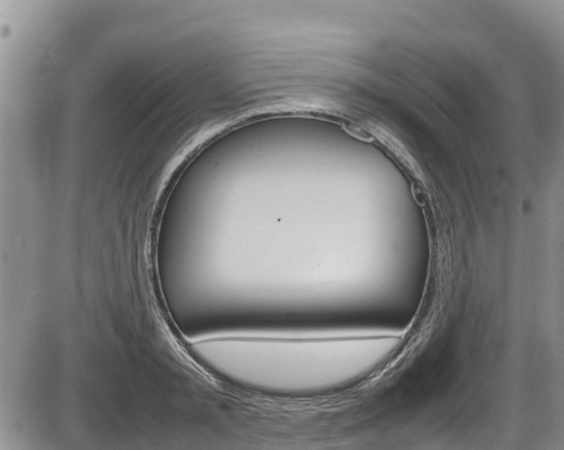 X0000086280797200703291101