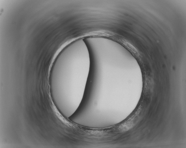 X0000086280800200703291101